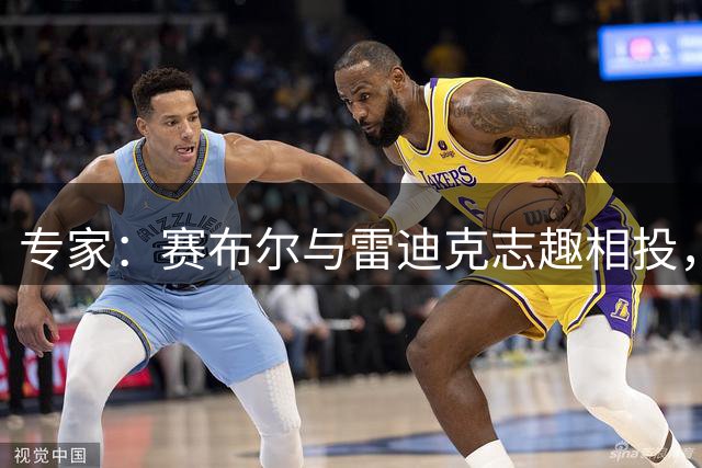 专家：赛布尔与雷迪克志趣相投，录像研究专家默契十足