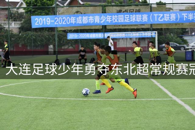 大连足球少年勇夺东北超常规赛冠军
